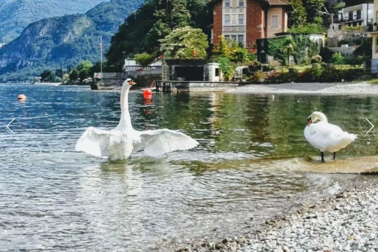 Le Grigne Guest House Oliveto Lario Buitenkant foto
