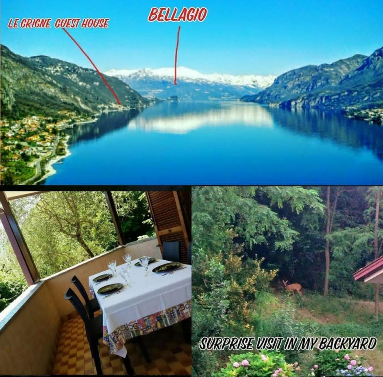 Le Grigne Guest House Oliveto Lario Buitenkant foto