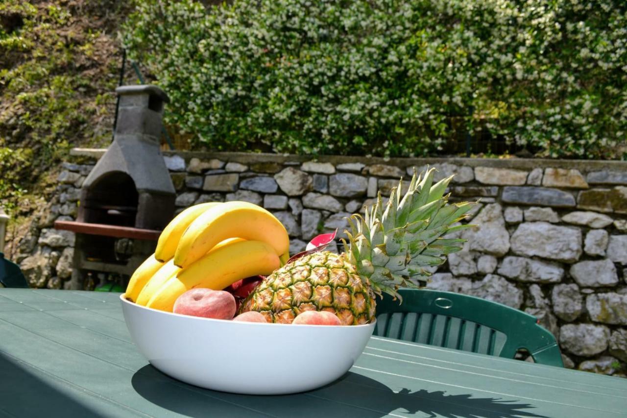 Le Grigne Guest House Oliveto Lario Buitenkant foto
